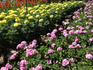 prepping your flower bed for annuals