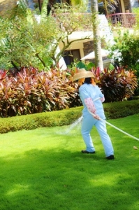 what time of day is best for watering your lawn