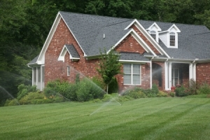 four tips on watering lawn in a drought