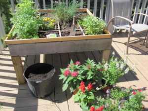 square foot gardening in nashville, Tennessee