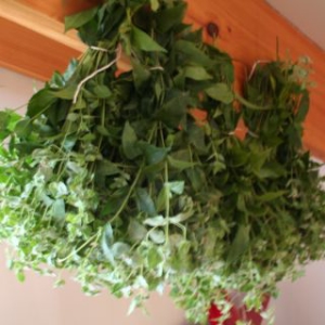 drying flowers and herbs in middle tennessee and nasahville