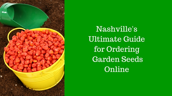 2nasvhille's ultimate guide to buying seeds online