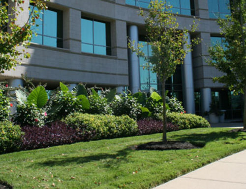 Why Is Commercial Landscaping So Important for Industrial Properties?