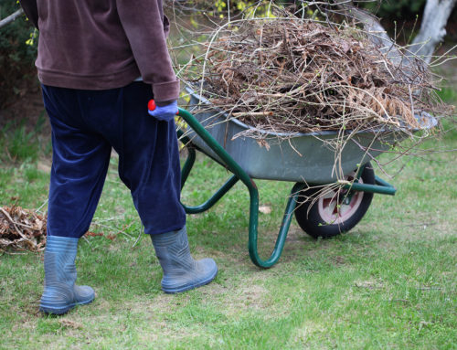 How Can I Get My Yard Ready for Winter?