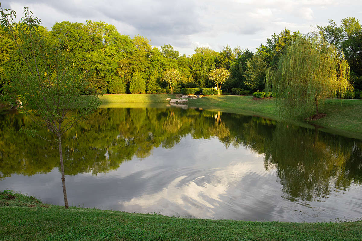 Nashville Retention Pond Installed by Acer Landscape Services