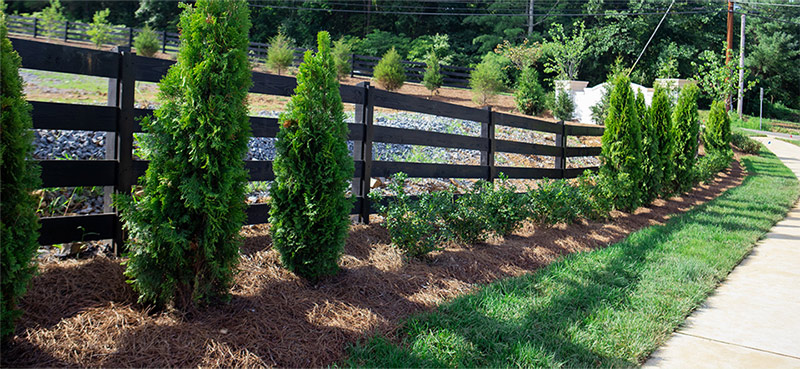 Acer Landscaping Services, Landscape Solutions Nashville