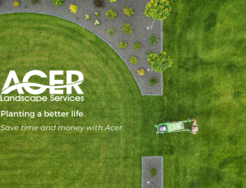 Why Nashville Home Inspectors Are Partnering with Acer Landscape Services?